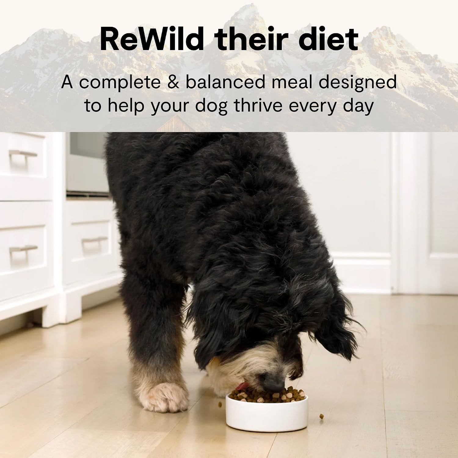 open-farm-rawmix-grain-free-dry-dog-food-front-range-kibble-20lb-bag-grass-fed-beef-pasture-raised-lamb-humanely-raised-pork-freeze-dried-raw-chunks-100-traceable-ingredients