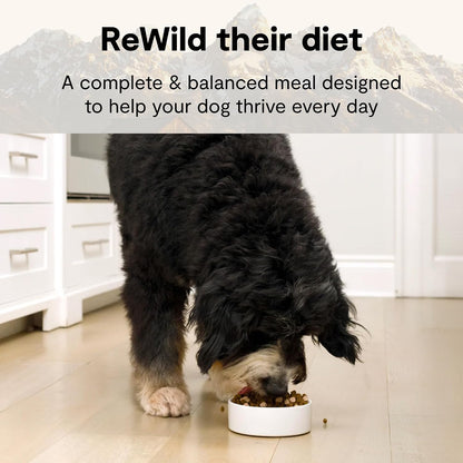 Open Farm Rawmix Grain Free Dry Dog Food, Front Range Kibble, 20Lb Bag | Grass Fed Beef, Pasture Raised Lamb, Humanely Raised Pork, Freeze Dried Raw Chunks, 100% Traceable Ingredients.2