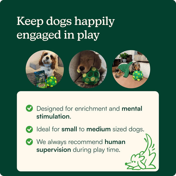 Reggie Forager Ball for Dogs | Interactive Treat Dispensing Dog Enrichment Toys | Reduces Boredom, Stress & Hyperactivity | Snuffle Toys for Dogs | Durable & Washable Dog Puzzle Toy3