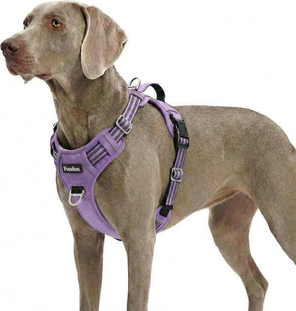 Funfox Dog Harness Medium Sized Dog, Vertical Handle Easy Control, No Pull Pet Vest Adjustable with 2 Leash Clips, Soft Material, Reflective Safe Night Walking for Small Medium Large Breed, Black, M12