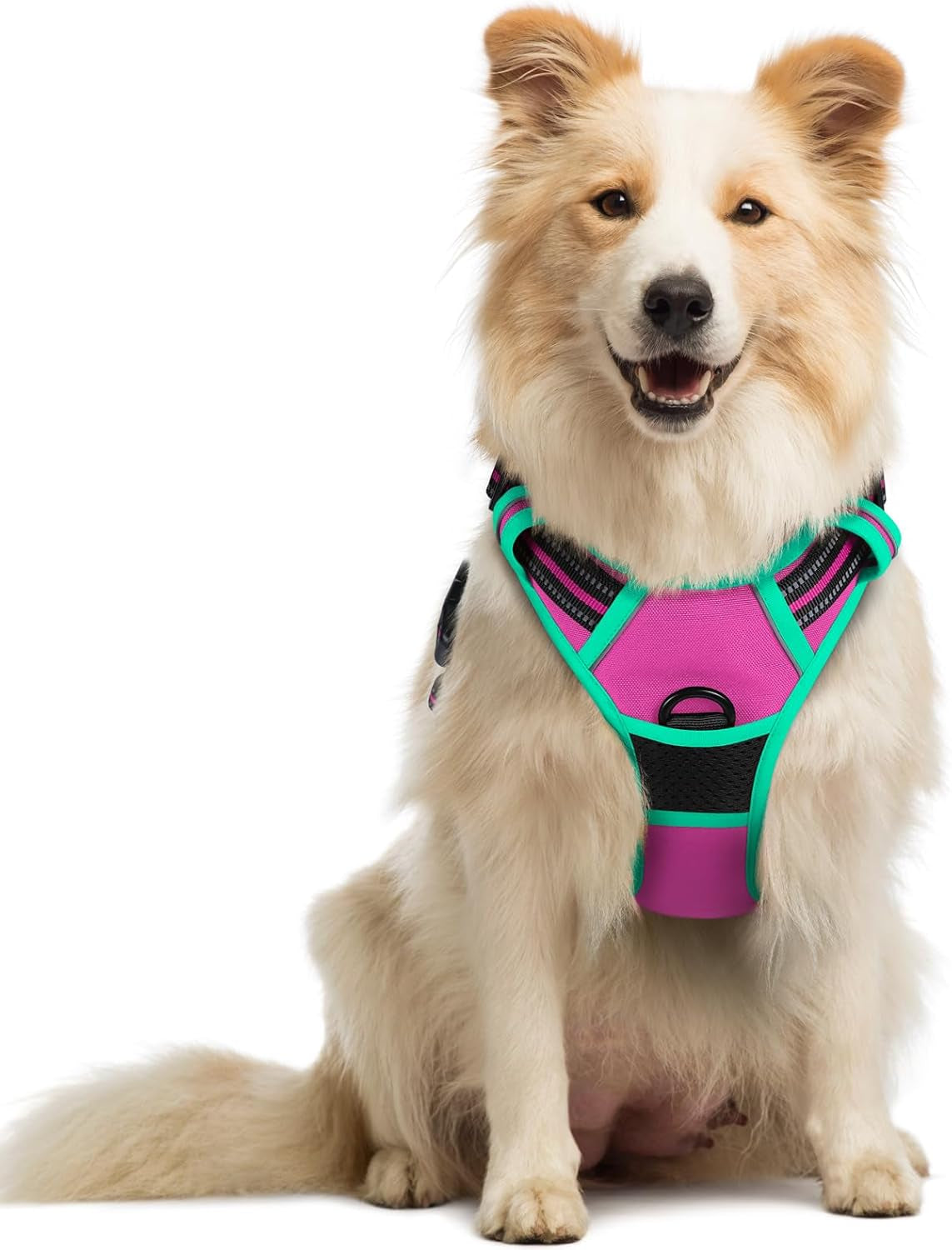 rabbitgoo-dog-harness-no-pull-for-large-dogs-with-2-leash-clips-pet-vest-no-choke-with-handle-adjustable-soft-padded-reflective-easy-control-for-walking-black-large