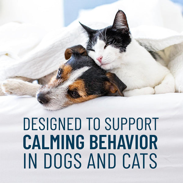 Nutramax Solliquin Cat & Small Dog Calming Support, Soft Chews, 75Ct2