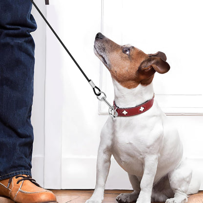 2 Pcs Chew Proof Metal Dog Cable Lead (Single Hook) | No Tangle, Leash Extender, for Small Medium Dogs Collar Harness6