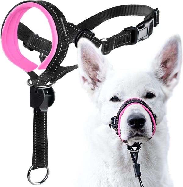 Goodboy Dog Head Halter with Safety Strap - Stops Heavy Pulling on the Leash - Padded Headcollar for Small Medium and Large Dog Sizes - Head Collar Training Guide Included (Size 2, Black)13