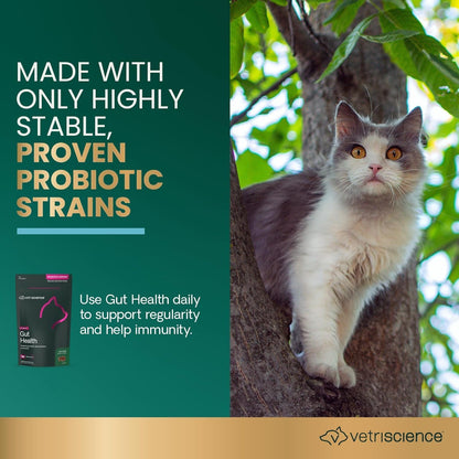 Vetriscience Gut Health Chews, Probiotic Everyday Digestive Supplement for Cats, Pet Probiotics for Digestion Support, Gas and Diarrhea, Immune Support, 120 Million CFU per Chew, Duck, 60 Count2