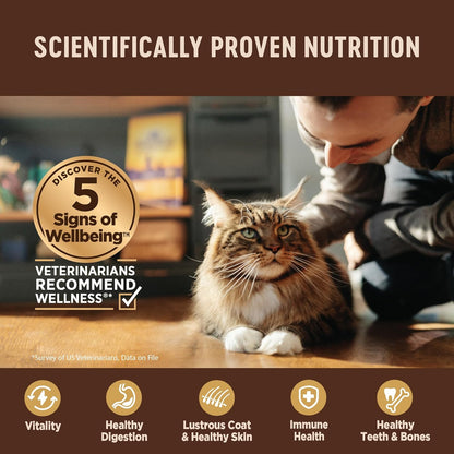 Wellness CORE Tiny Tasters Pate Variety Pack Adult Wet Cat Food, Natural, Protein Rich, Grain Free, Land Recipes, 1.75 Oz, Pack of 12 Pouches4