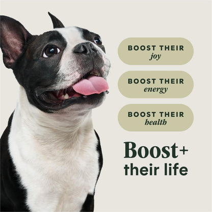 Instinct Rawboost Small Breed, Natural Dry Dog Food with Freeze-Dried Pieces, High Protein, Grain-Free Recipe - Real Chicken, 3.5 Lb. Bag4