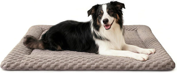 Dog Bed Mat, Dual-Sided Dog Crate Bed Mat - Ultra Soft & Machine Washable Kennel Pad for Small Dogs, All-Season Comfort Pet Bed for Crates, Travel, and Home, Star Gray, 24 X 16 Inch14