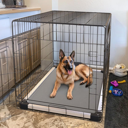 FXW Titannest Padded Chew-Proof Elevated Dog Bed for Large Dogs | Easy to Clean, Pre-Assembly Raised Cot, Indoor/Outdoor/Camping, 47 X 29 X 7.3In4