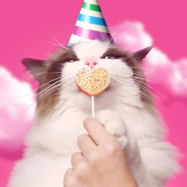Bonkers Purrpops Birthday Edition Freeze-Dried Chicken Flavored Lollipop Cat Treats, 4 Pieces (Pack of 13)8