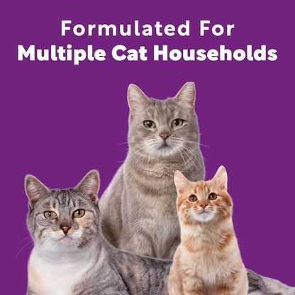 Scoop Away Multi Cat Clumping Cat Litter, Meadow Fresh Scent, 38 Pounds (Package May Vary)6