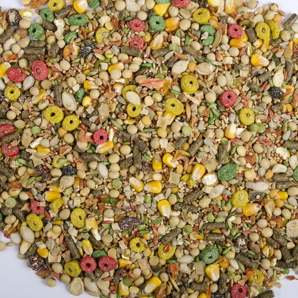 Wild Harvest Hamster and Gerbil Advanced Nutrition Diet, 4-Pound, Multicolor, One Size (E1950W), 4 Pounds2