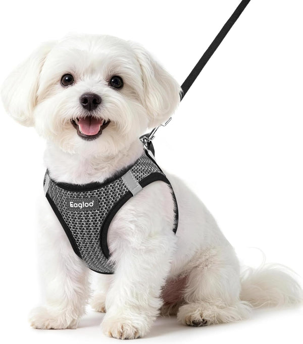 Eagloo Small Dog Harness and Leash Set, Step in Small Sized Puppy Pet Vest | Light, Soft, Breathable Air Mesh, Easy on and off with Hook & Loop, Reflective for Safe Walking, Pink, S30