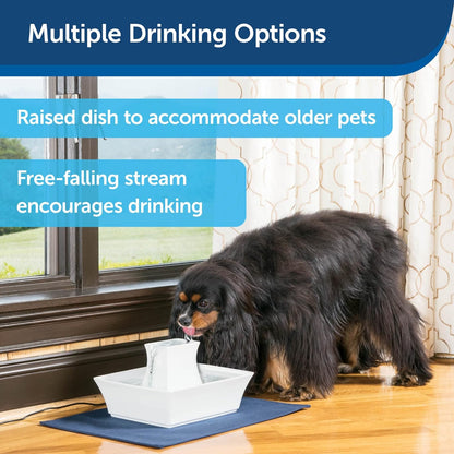 Petsafe Drinkwell Pagoda Fountain, Filters Included, 70 Oz Ceramic, White | 2 Free-Falling Water Streams Encourage Hydration, Pet Fountain for Cats & Small Dogs, Replaceable Carbon & Foam Filters5