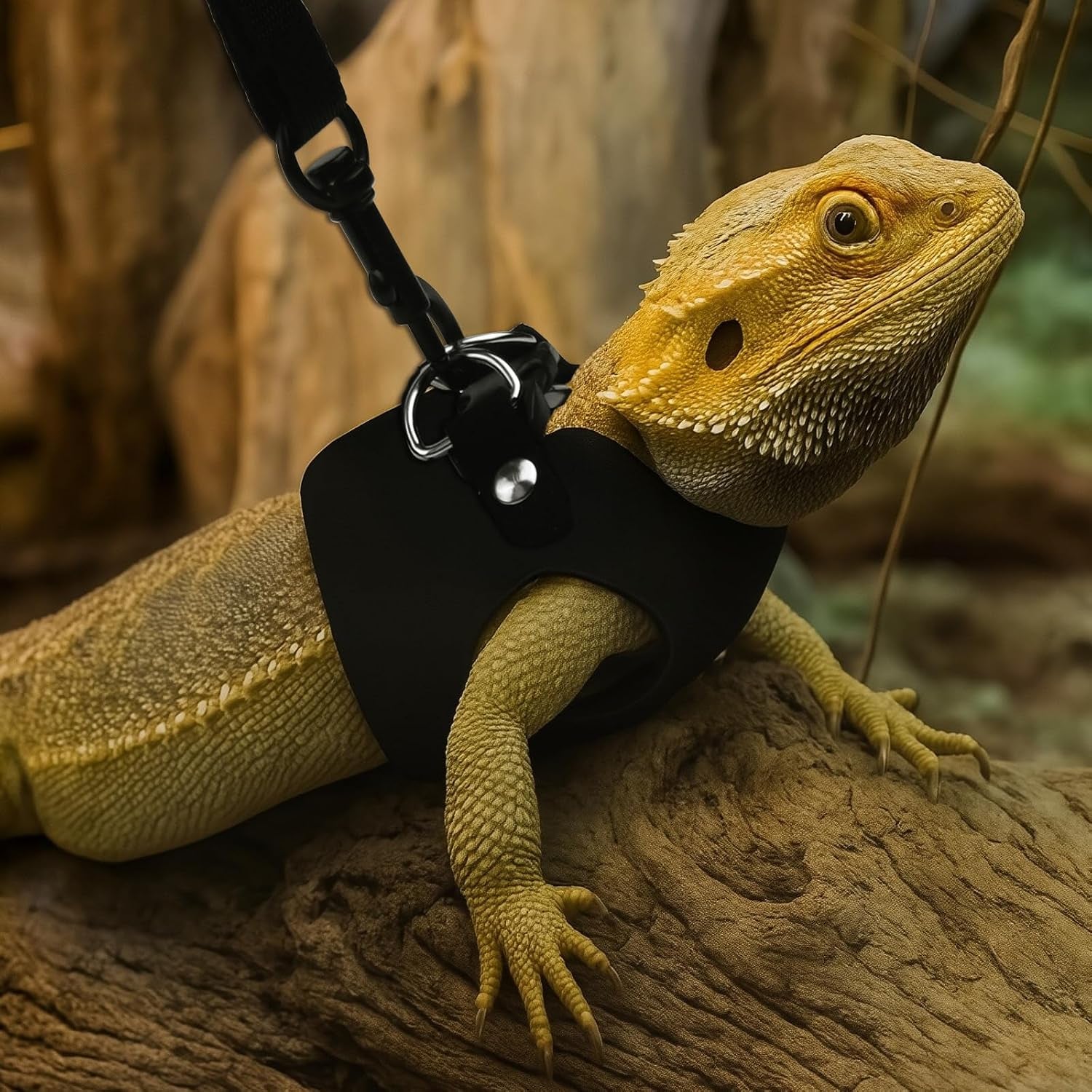 3size-black-bearded-dragon-leash-and-harness-set-with-lizard-traction-rope-for-reptile-lizard-leash-squirrel-harness-small-rabbit-traction-rope-s-m-l