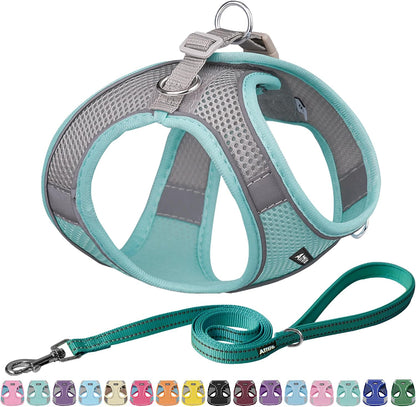 AIITLE No Pull Dog Harness and Leash Set, Step in Adjustable Dog Harness with Padded Vest for All Weather, Dog Leash with Soft Padded Handle, Easy to Put on Small and Medium Dogs Beige S16