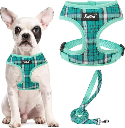 PUPTECK Soft Mesh Dog Harness Small Sized and Leash Set Pet Puppy Cat Comfort Padded Vest No Pull Harnesses, Beige, S13