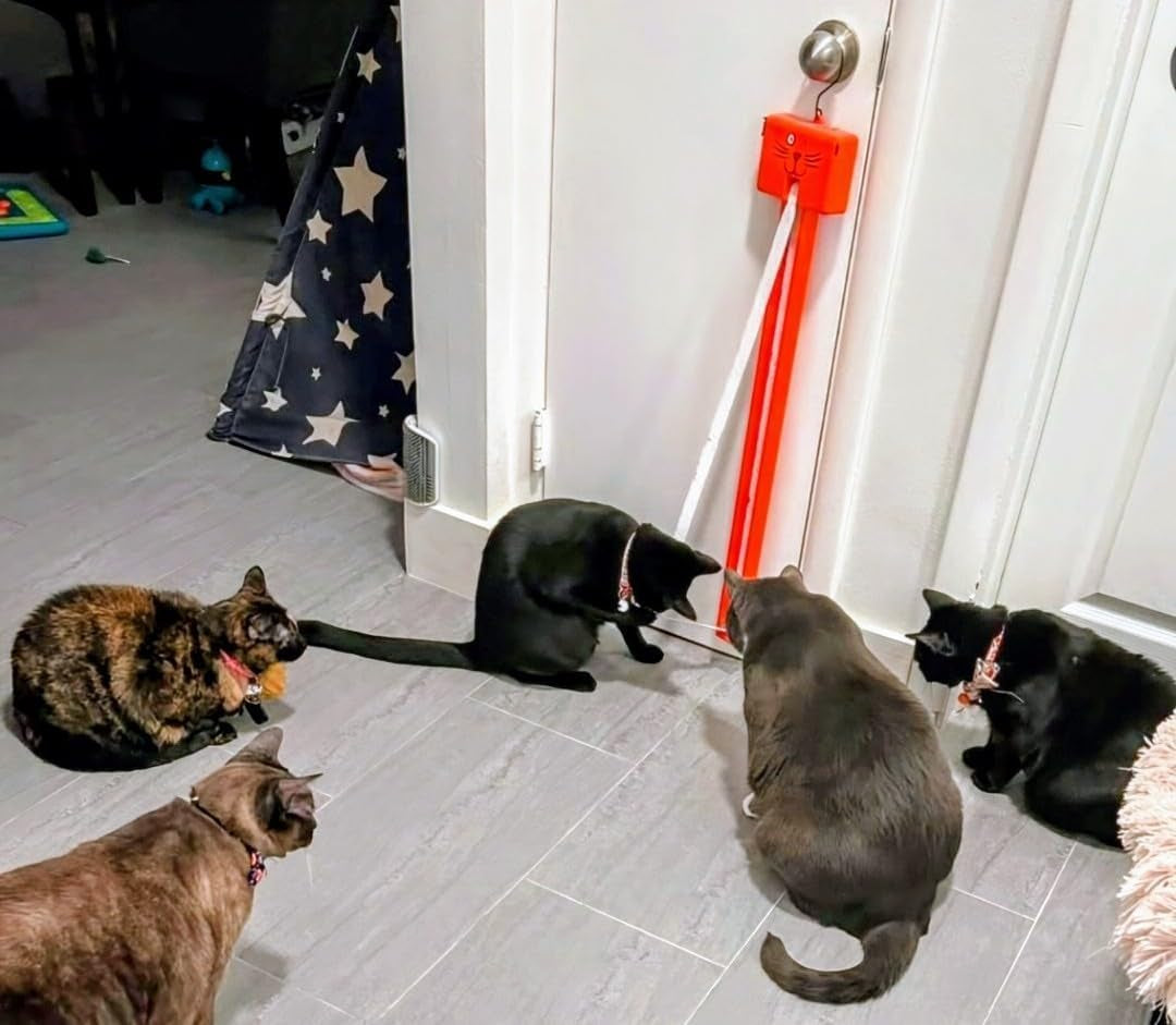 moody-pet-interactive-cat-toy-for-indoor-cats-fling-ama-string-automatic-moving-flying-string-toy-for-cats-battery-operated-door-hanging-exercise-toy-for-kittens-adult-cats