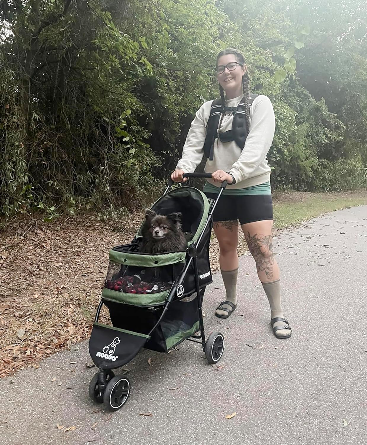roodo-3-wheel-pet-stroller-best-lightweight-foldable-compact-portable-jogger-all-terrain-travel-pet-gear-puppy-kitty-stroller-for-up-to-30lbs-medium-small-dogs-and-catsgreen