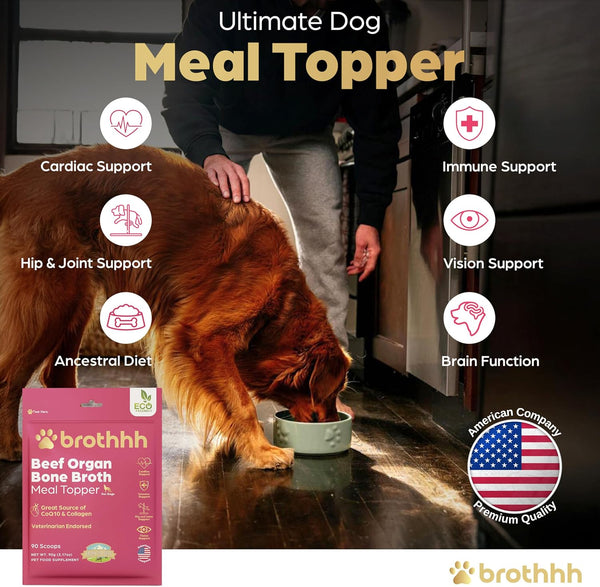 Beef Organ Bone Broth Meal Topper for Dogs - 100% Grass Fed - by Brothhh | Veterinarian Approved, Non-Gmo, No Fillers, Supports Immunity, Joint & Heart Health, Vision & Vitality5