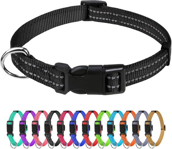Tagme Small Dog Collar, Reflective Puppy Collar, Sky Blue, 3/8" Width | Lightweight, Nylon Collar for Puppies, Chihuahua, Yorkie & Teacup Dogs 5-15 Lbs, Reflective for Evening Walks, 12 Colors32