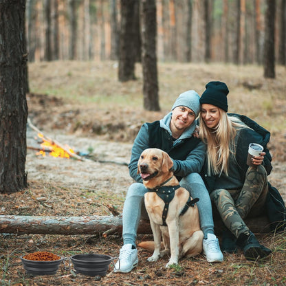Large Dog Bowl Pet Collapsible Bowls, 2 Pack Collapsible Dog Water Bowls for Cats Dogs, Portable Pet Feeding Watering Dish for Walking Parking Traveling with 2 Carabiners (Large, Black+Black)2