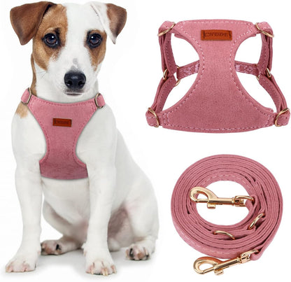 CHEDE No Pull Puppy Harness and Multifunction Dog Leash Set- 8 Colors Soft Adjustable No Choke Escape Proof Cute,Lightweight Pet Vest Harness for Small and Medium Dog…10