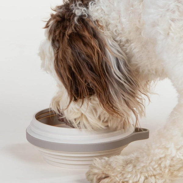 Cleverpup Nomad Large Collapsible Travel Dog Bowl - 4 Cup Bpa-Free Silicone for Medium & Large Dogs, Portable, Food & Water, Dishwasher Safe - Sand3