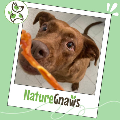 Nature Gnaws USA Turkey Tendons for Dogs (4Oz) - Delicious Grain Free Reward Snack for Small, Medium & Large Breeds - Premium Natural Dog Chew Treats6