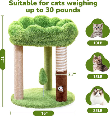WOOCHPET 20 Inch Small Cat Tree for Indoor Cats and Kittens, Cat Tower with 3 Sisal Scratching Posts, Removable Washable Perch Bed, Hanging Toy Ball, Compact Cat Condo for Small Spaces3