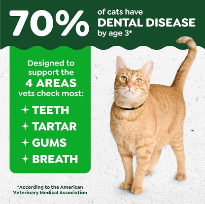 Greenies Feline Natural Crunchy Dental Cat Treats, Salmon Flavor, 21 Oz | #1 Vet-Recommended, Clinically-Proven Oral Care, 36% Less Tartar in 28 Days, Cleans to Gumline, Natural Ingredients3
