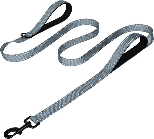 Joytale Reflective Dog Leash for Medium & Large Dogs, 6 FT X 1", Black | Heavy Duty Nylon Webbing, Padded Handle for Comfort, Visible at Night, for Walking & Training34