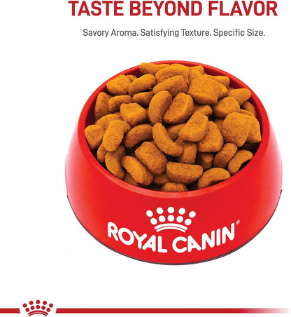 ROYAL CANIN Breed Health Nutrition Rottweiler Adult Dry Dog Food, 30 Lb Bag8