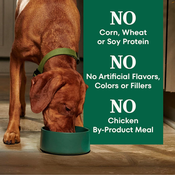 Nutro Natural Choice Adult Dry Dog Food, Chicken & Brown Rice Recipe, 30 Lb | Non-Gmo, Real Chicken #1 Ingredient, No Corn, Wheat, Soy or Chicken By-Product Meal, Supports Skin & Coat/Digestion/Immunity7
