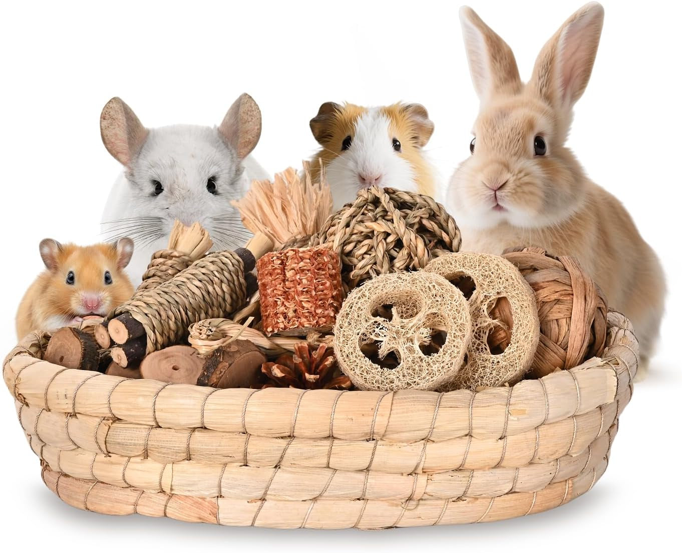 31pcs-rabbit-chew-treat-toys-for-teeth-health-natural-bunny-enrichment-toys-for-boredom-stress-relief-keep-busy-toys-for-guinea-pig-chinchilla-hamster-rat-gerbil-degu-indoor-outdoor