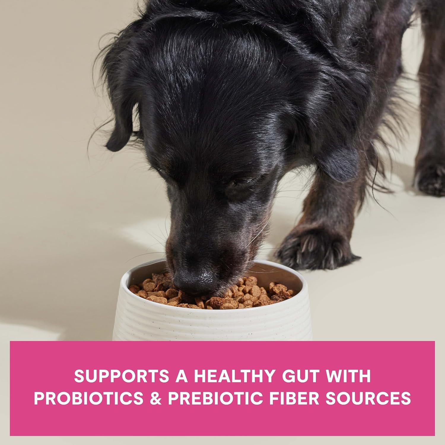 open-farm-epic-blend-dry-dog-food-high-protein-salmon-kibble-3-5lb-bag-air-dried-chunks-probiotic-coated-grain-inclusive-all-breeds-and-life-stages-traceable-ingredients-non-gmo-superfoods