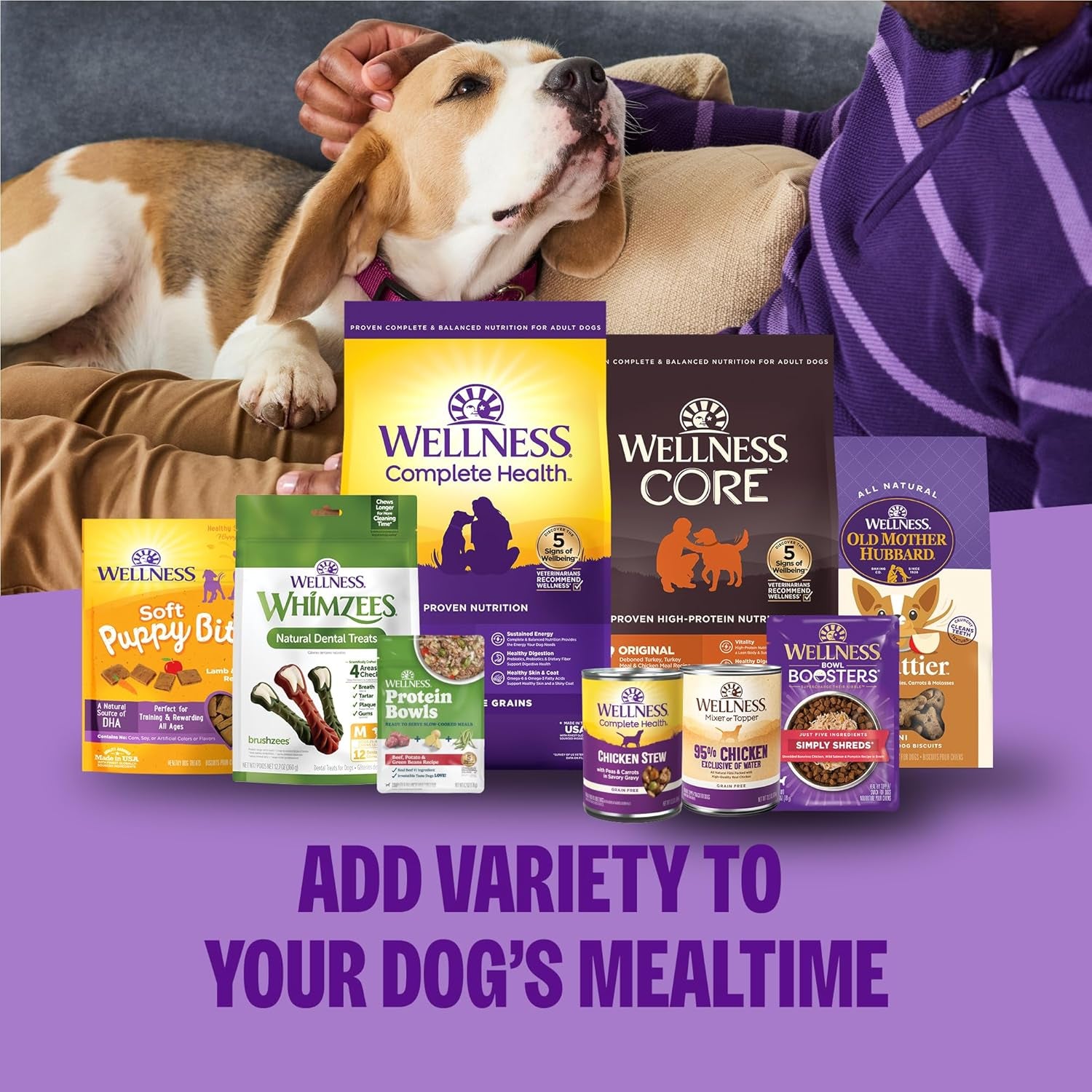 wellness-complete-health-adult-dry-dog-food-with-freeze-dried-wellbites-wholesome-grain-kibble-natural-chicken-and-oatmeal-recipe-4-lb-bag