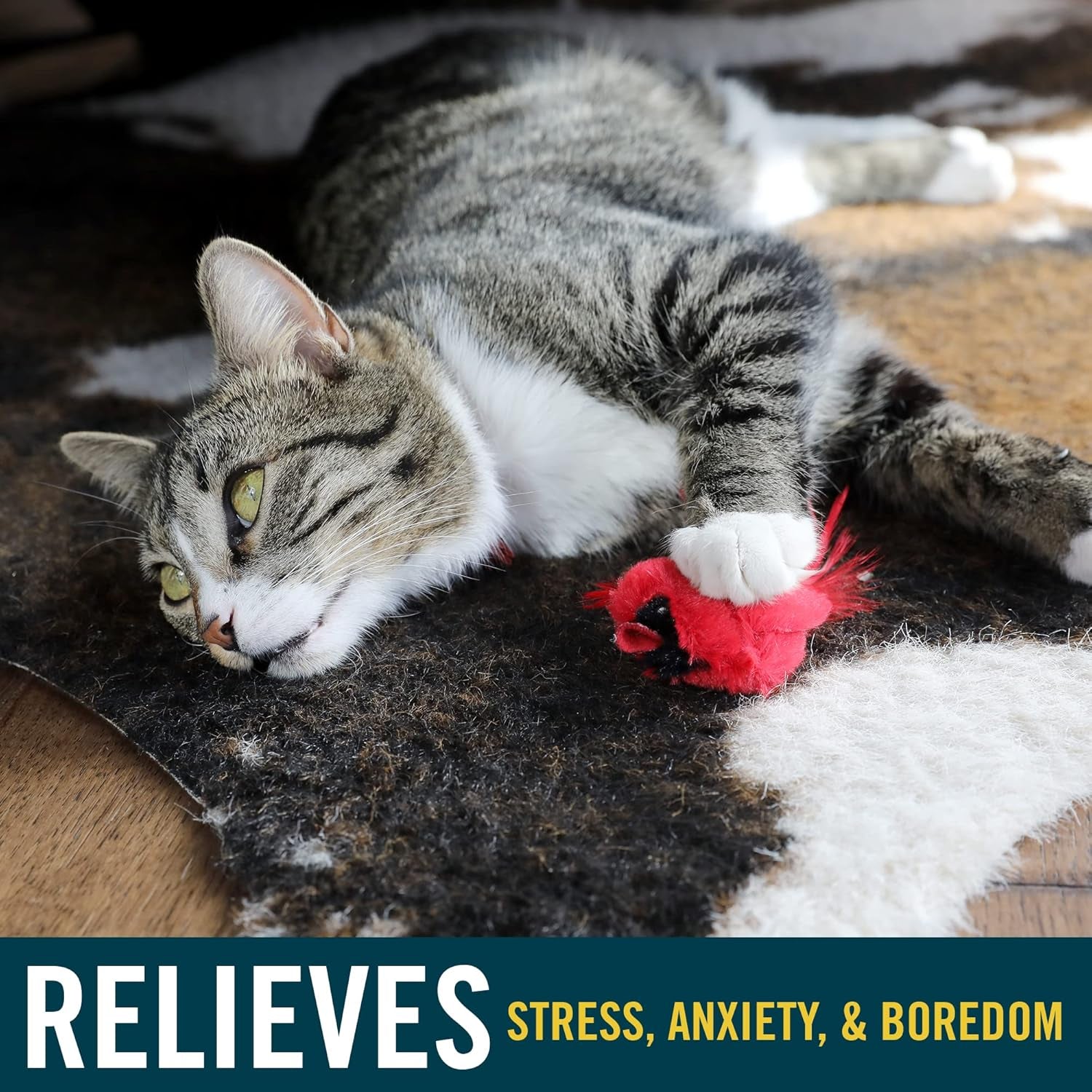 ourpets-play-n-squeak-real-birds-interactive-cat-toys-with-catnip-cat-toys-for-indoor-cats-catnip-toy-for-cats-with-bird-chirping-electronic-sound-and-feather