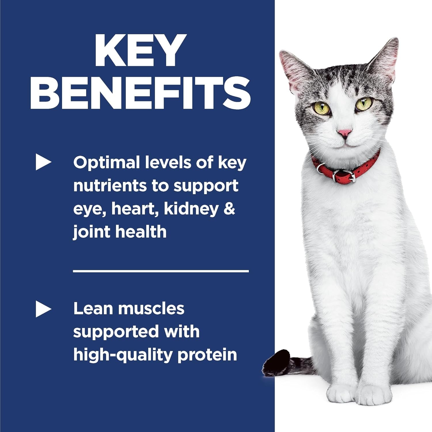 hills-science-diet-senior-11-dry-cat-food-1-veterinarian-recommended-chicken-recipe-3-5-lb-bag
