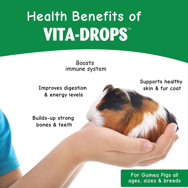 OASIS # 80061 Guinea Pig Vita Drop, 2-Ounce5