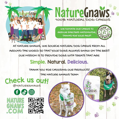 Nature Gnaws Beef Trachea Crunch Wraps for Dogs (3 Count) - Long Lasting Natural Beef Jerky Dog Chew Bones - Rawhide Free8