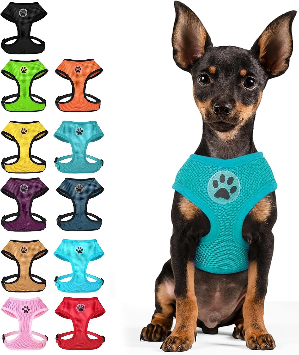 bingpet-small-dog-harness-no-pull-dog-harness-small-sized-dogs-soft-light-breathable-mesh-puppy-vest-with-safety-buckle-adjustable-step-in-pet-harnesses-for-easy-walking-running-training