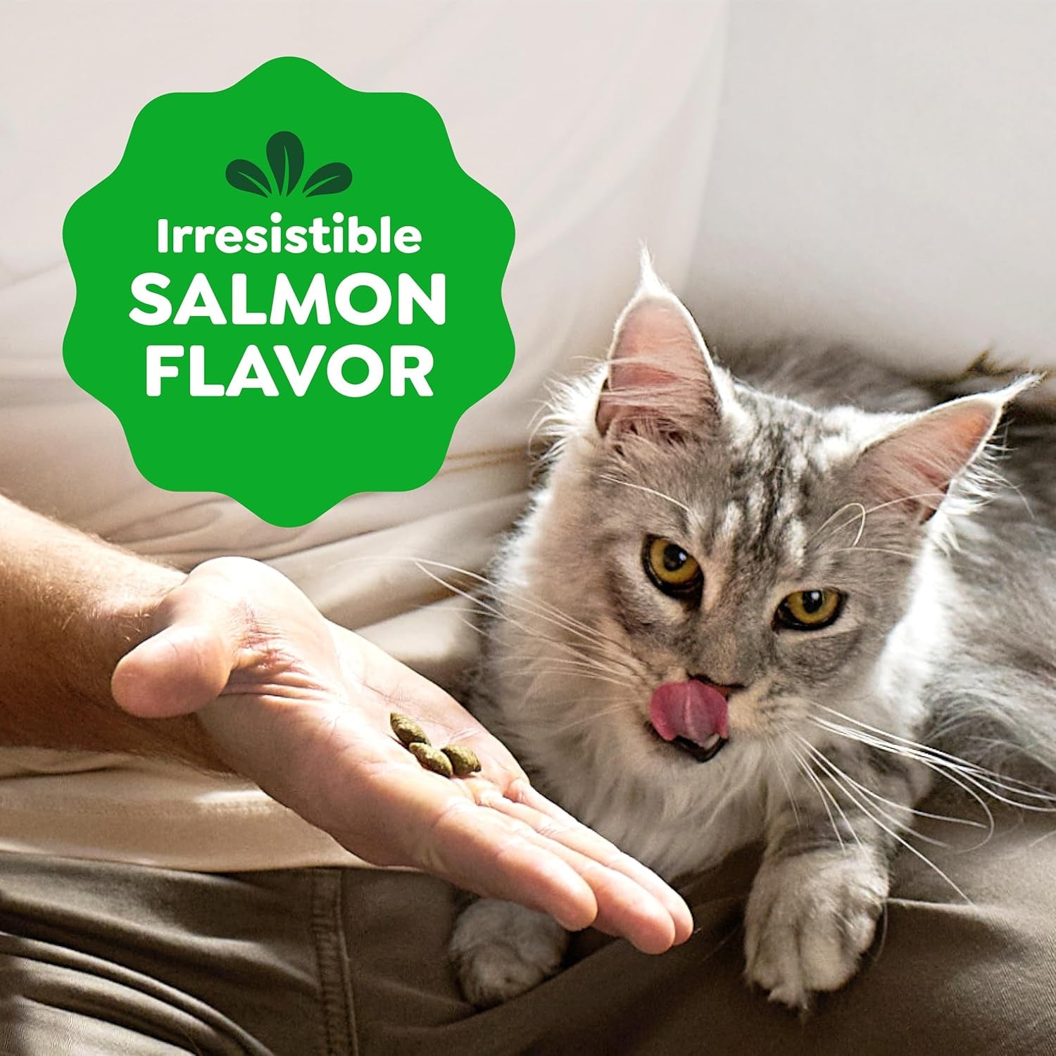greenies-feline-smartbites-skin-fur-health-cat-treats-salmon-4-6-oz-fish-oil-flaxseed-omega-3s-no-artificial-flavors-or-preservatives-under-2-calories-per-treat-crunchy-soft