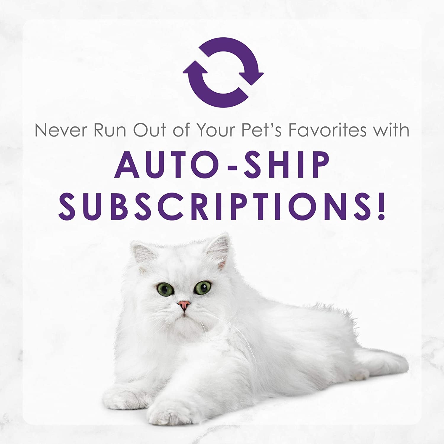 purina-fancy-feast-delights-with-cheddar-wet-cat-food-3-oz-cans-24-pack