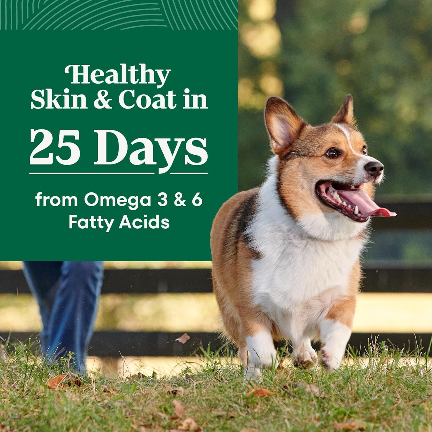nutro-natural-choice-small-bites-dry-dog-food-lamb-rice-12-lb-non-gmo-real-lamb-1-ingredient-no-corn-wheat-soy-crafted-in-usa-supports-energy-bones-muscles-dental-health-skin