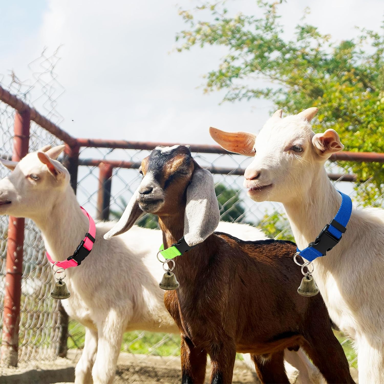 3-pack-goat-collars-with-loud-bells-anti-lost-grazing-pet-collar-adjustable-collar-copper-bells-small-farm-animals-accessories-for-livestock-sheep-calf-13-8-20-9