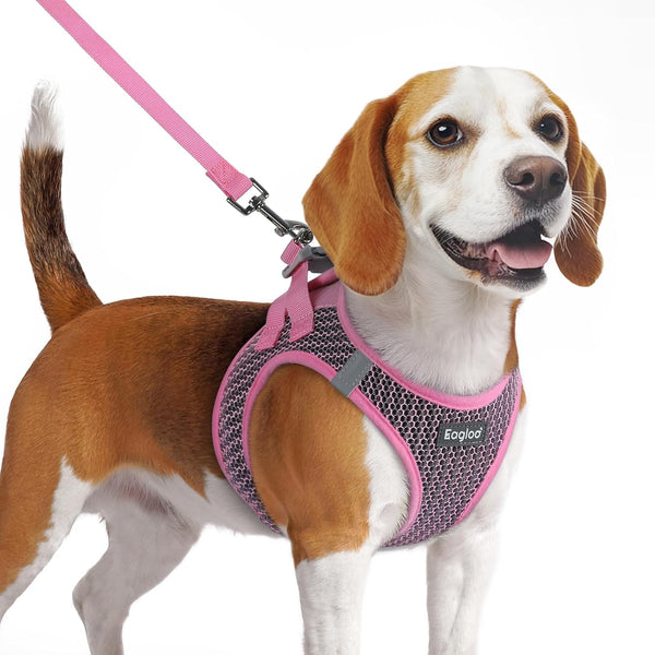 Eagloo Small Dog Harness and Leash Set, Step in Small Sized Puppy Pet Vest | Light, Soft, Breathable Air Mesh, Easy on and off with Hook & Loop, Reflective for Safe Walking, Pink, S12