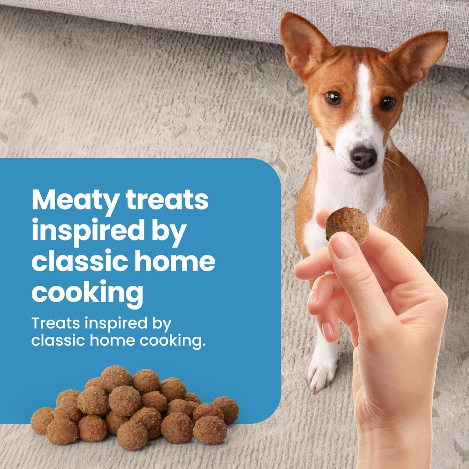blue-buffalo-nudges-beef-rice-homestyle-natural-dog-treats-meatball-inspired-recipe-healthy-reward-or-training-treat-made-in-the-usa-with-real-beef-no-artificial-preservatives-16-oz