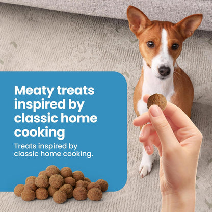 Blue Buffalo Nudges Beef & Rice Homestyle Natural Dog Treats, Meatball-Inspired Recipe, Healthy Reward or Training Treat, Made in the USA with Real Beef, No Artificial Preservatives, 16 Oz.6