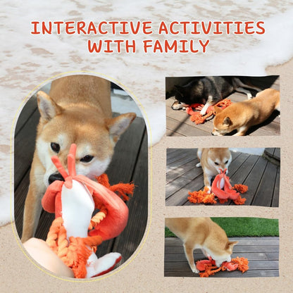 Large Squeaky Dog Toys, Tough Plush Lobster with Rope Tug of War for Puppy, Small, Medium, Large Dogs, Interactive Stuffed Chew Toy to Keep Them Busy7